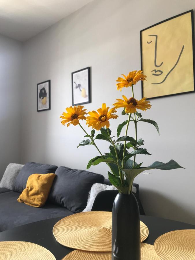 Apartament No82 Yellow Holiday Home 자토르 외부 사진